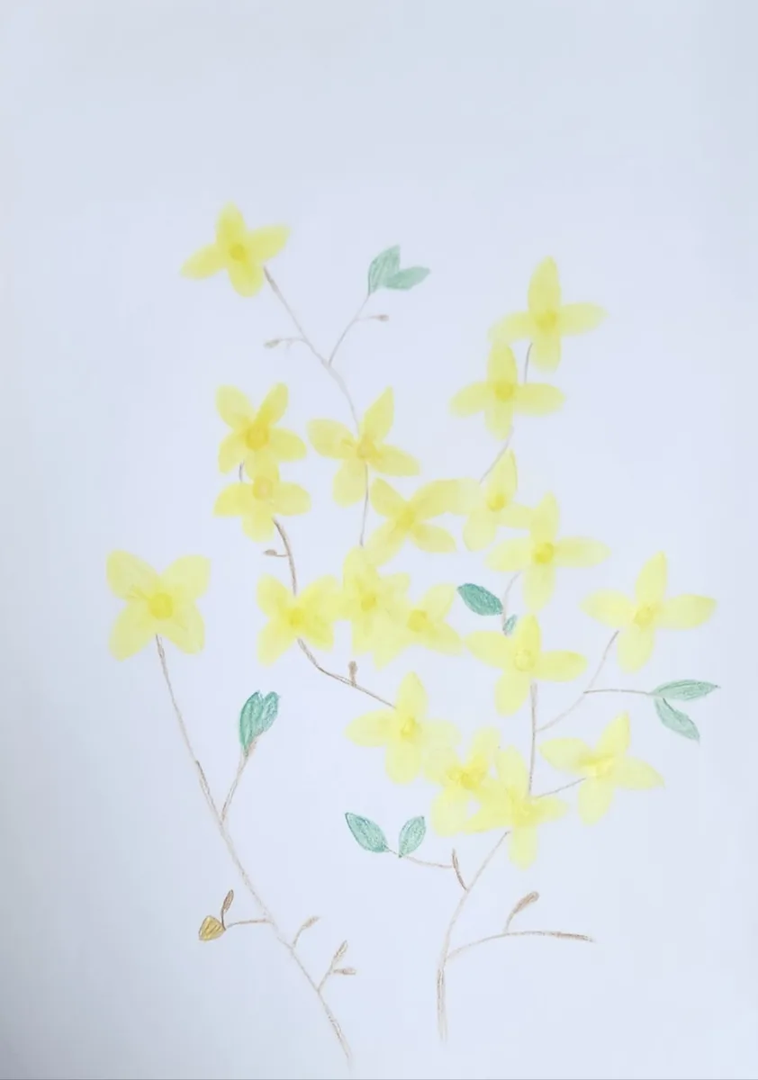 햇살을 머금은 노래 - 양원종